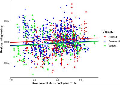 Is wing morphology across birds associated with life history and sociality?